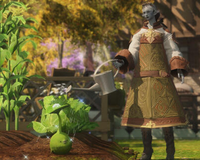 morning gardening 🪴